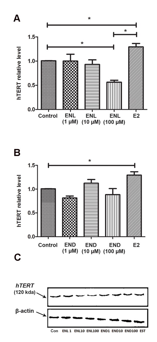 Fig.2