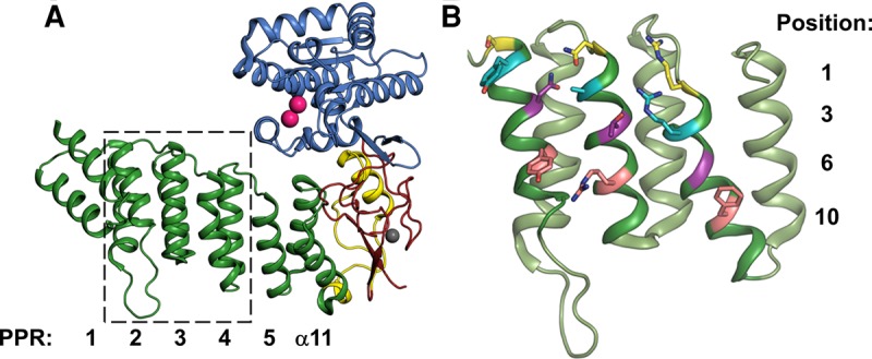 FIGURE 1.