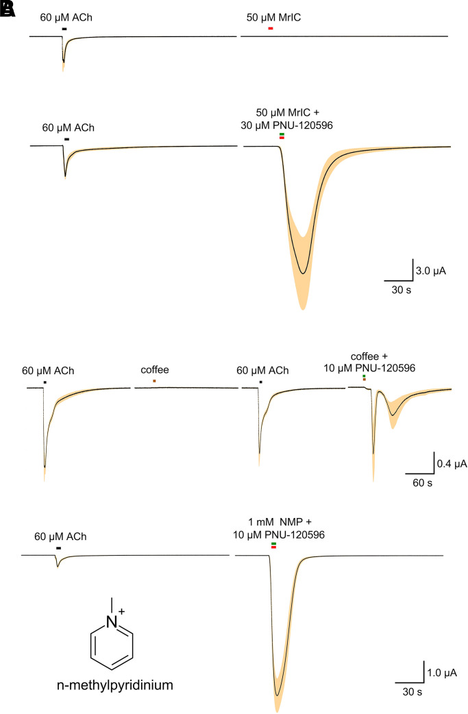 Fig. 12