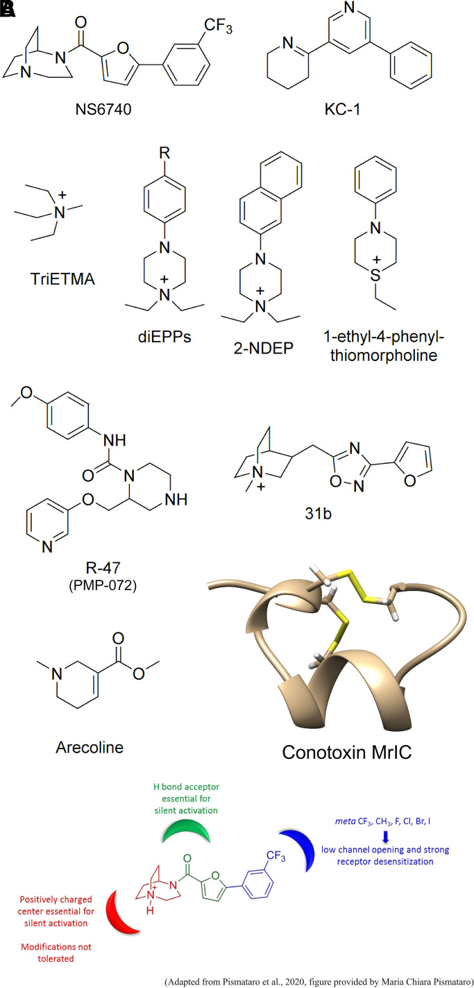 Fig. 11