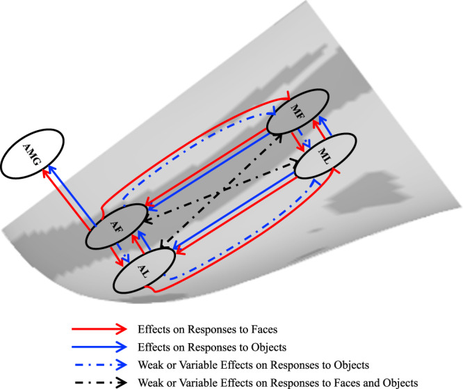 Fig. 10