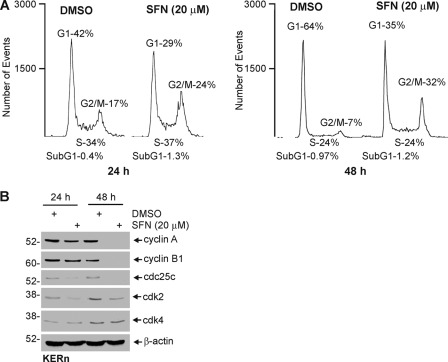 FIGURE 10.