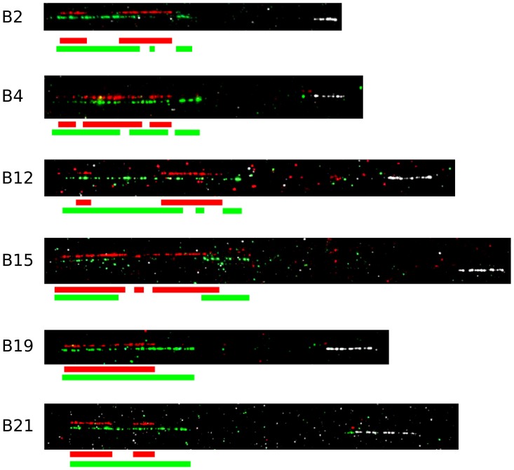 Figure 10