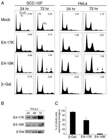 FIG. 3.