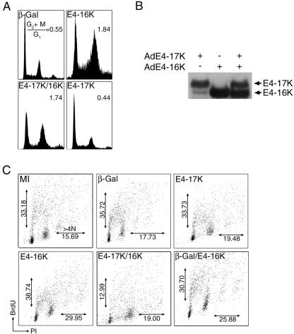 FIG. 8.