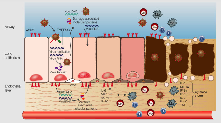 FIGURE 2