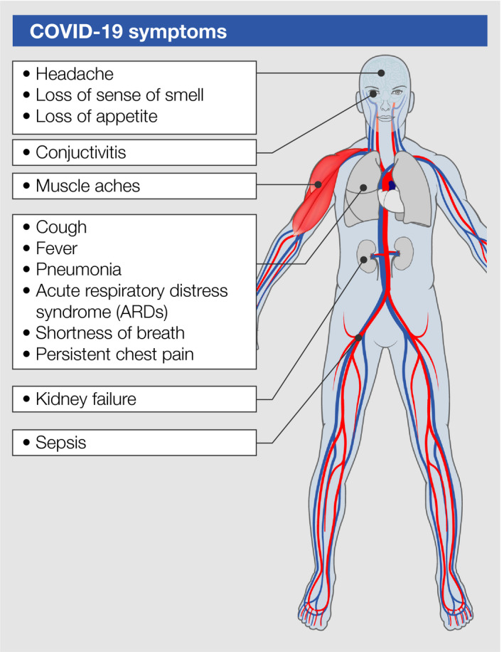 FIGURE 3