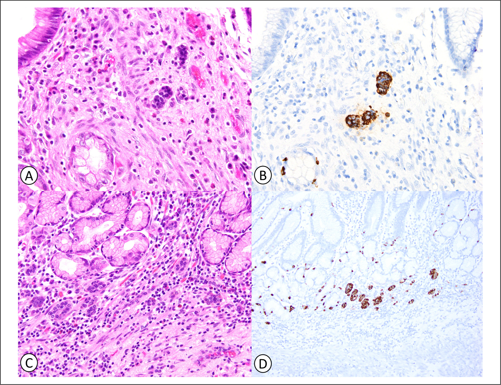 Figure 2.