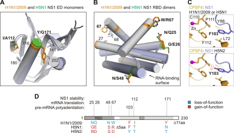 FIGURE 4.