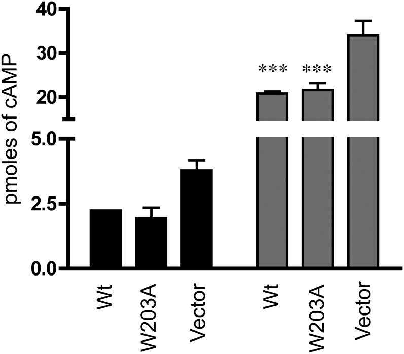 Fig. 9.