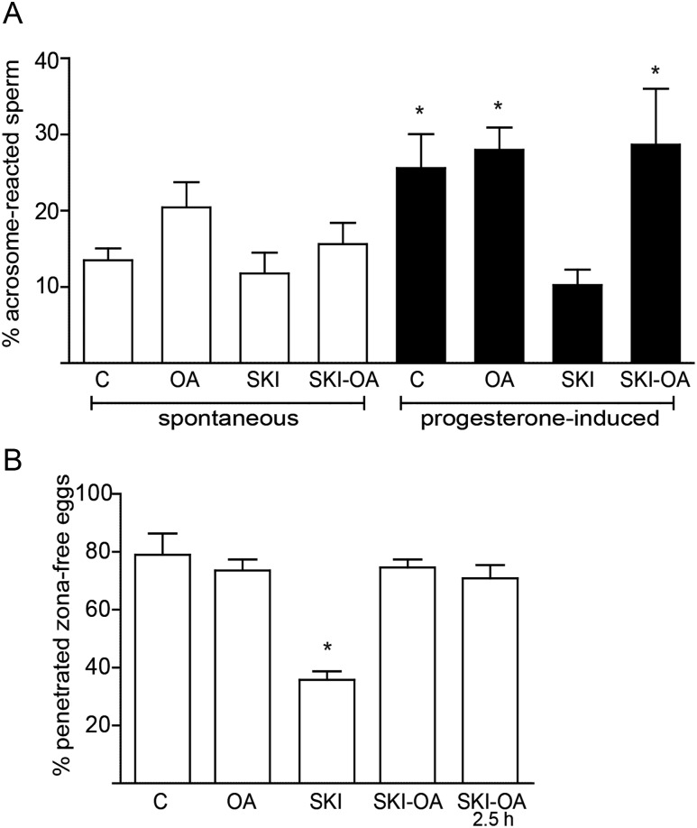 Figure 6