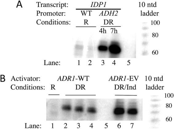 FIG 3