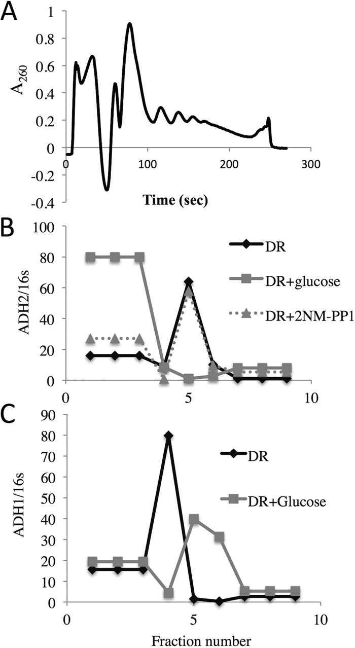 FIG 8