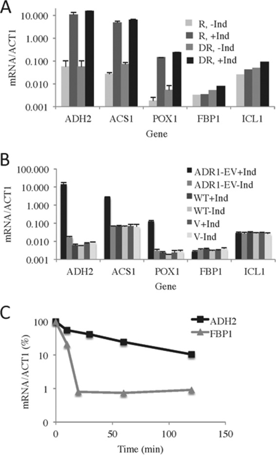 FIG 6