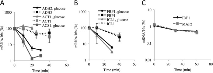 FIG 5