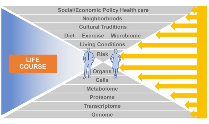 Figure
3