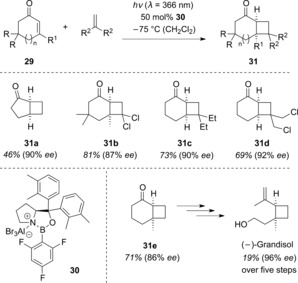 Scheme 16