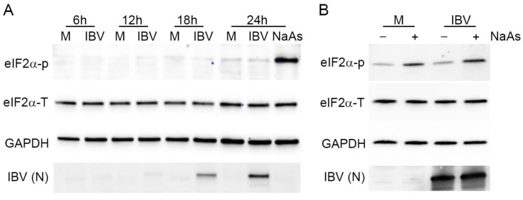 Figure 9