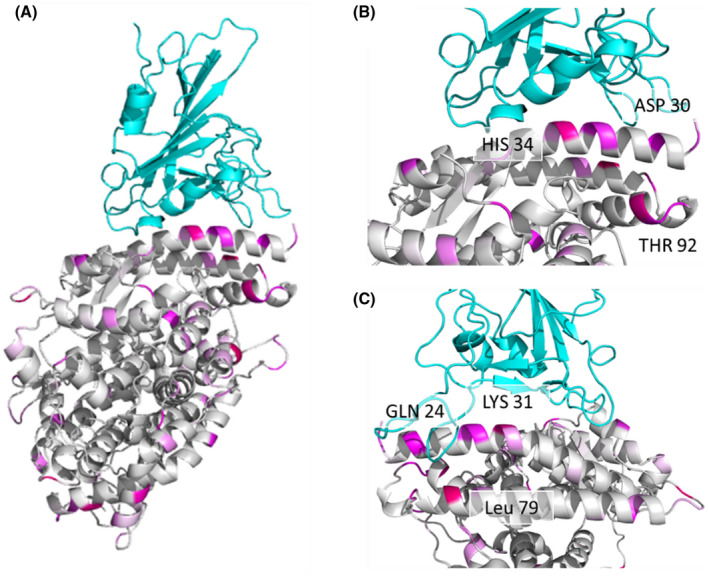 FIGURE 1