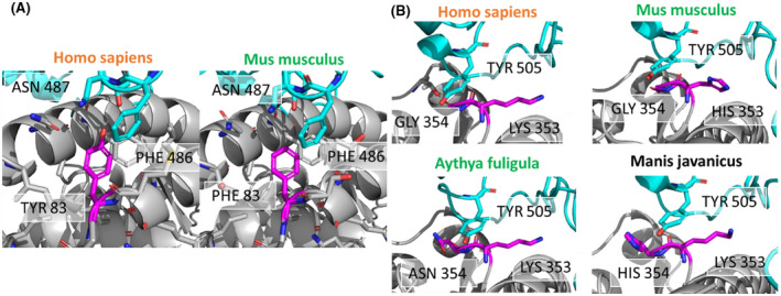 FIGURE 6