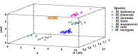 Figure 7.
