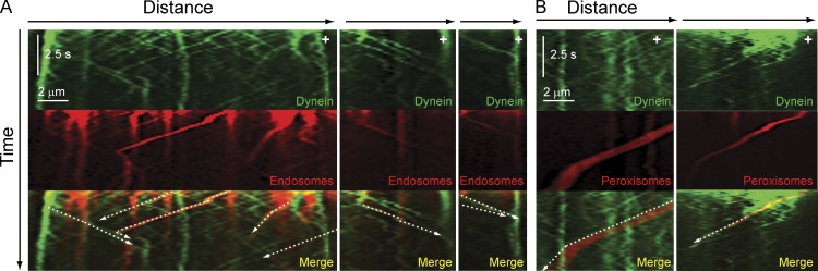 Figure 3.