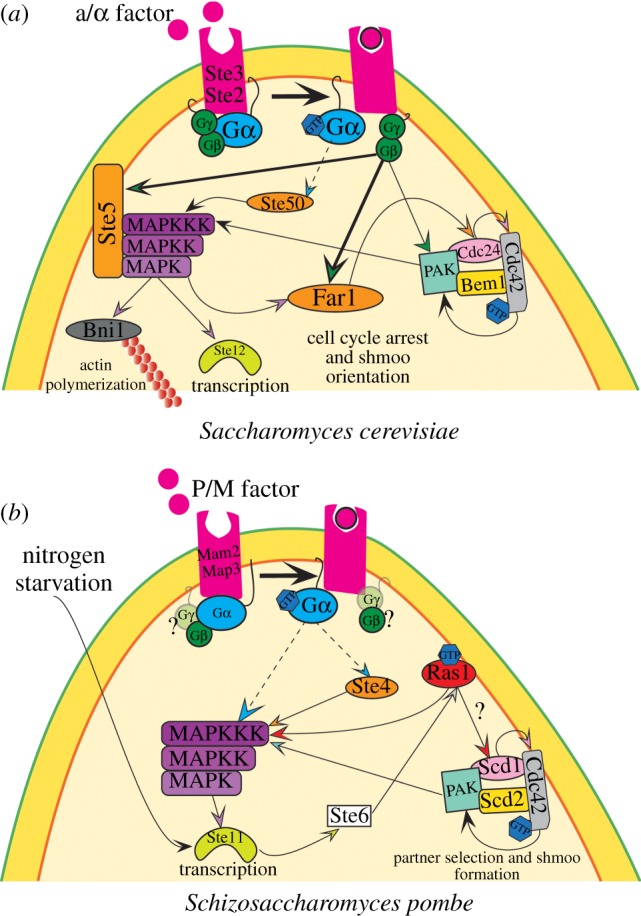 Figure 2.