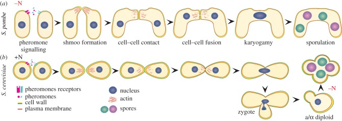 Figure 1.