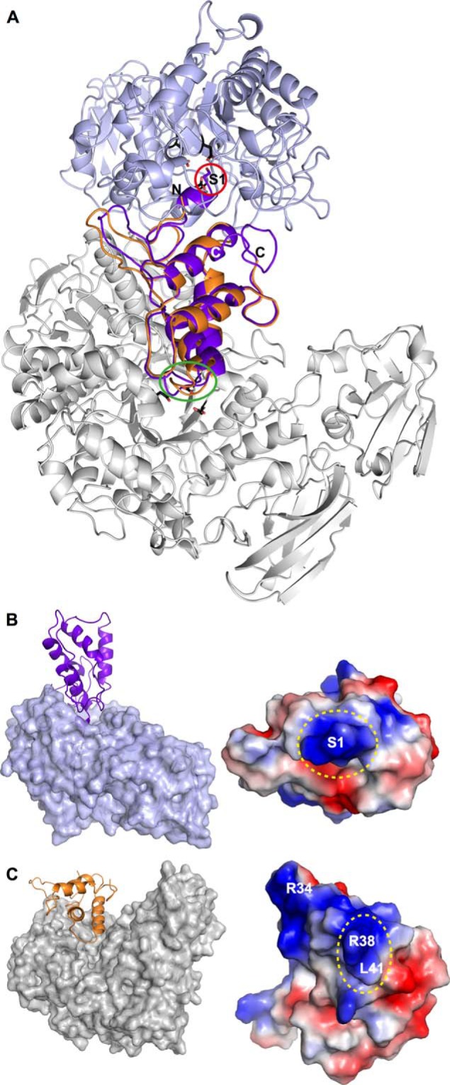 FIGURE 9.