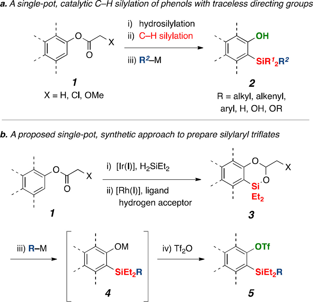 Scheme 2