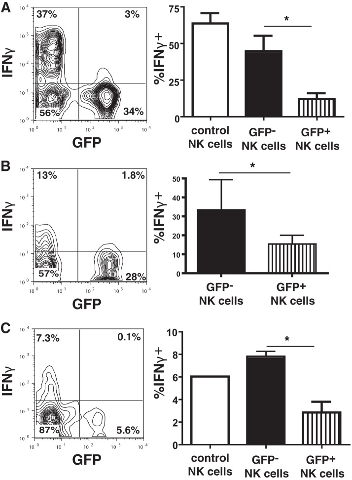 FIG 3