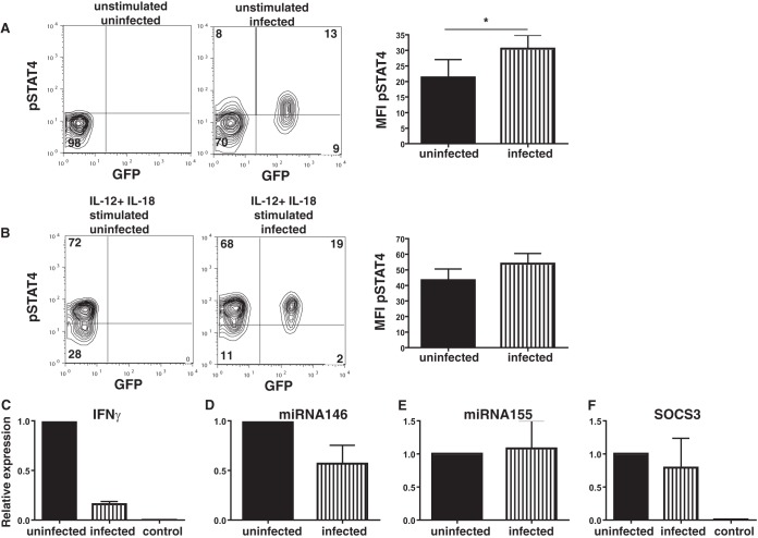 FIG 6