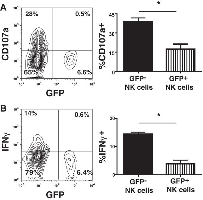 FIG 4