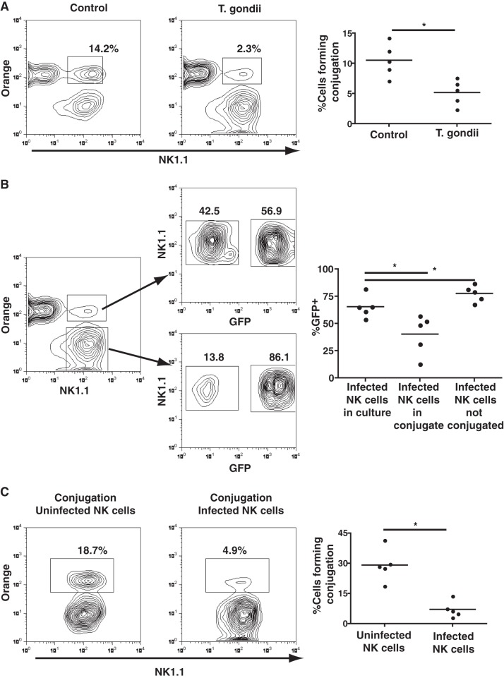 FIG 2