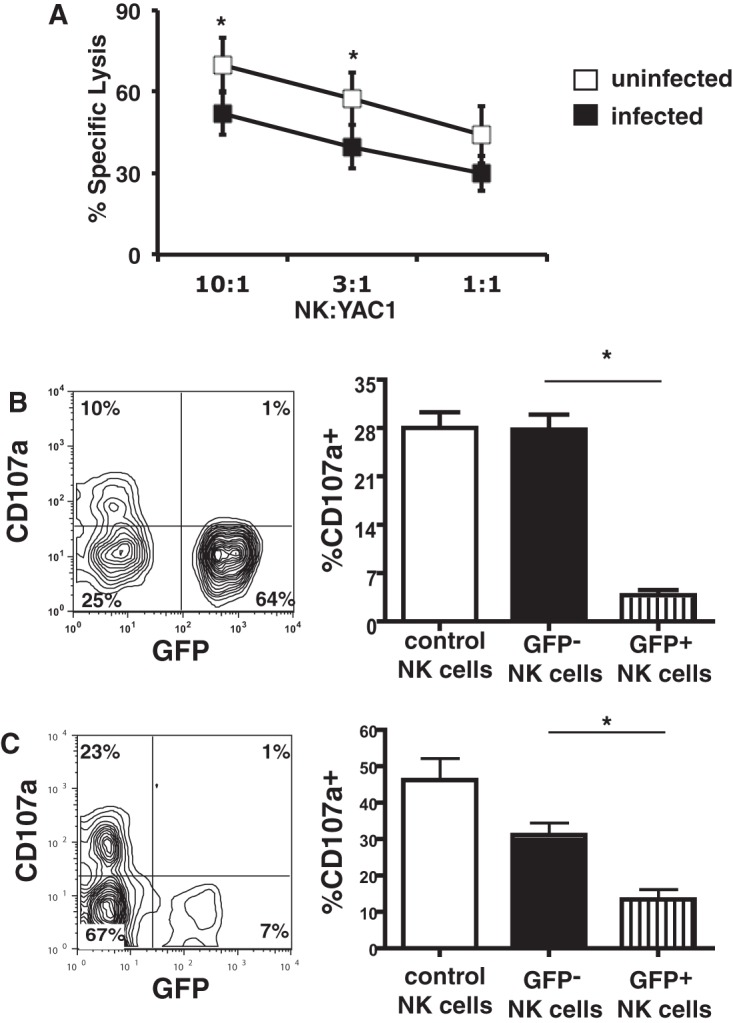 FIG 1