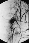 <sc>fig</sc> 7.
