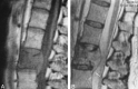 <sc>fig</sc> 9.