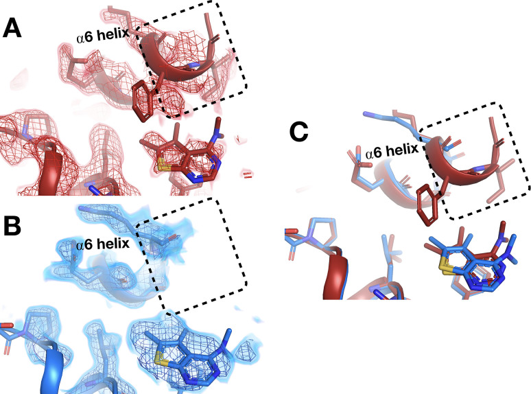 Figure 10.