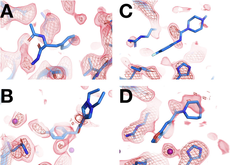 Figure 4—figure supplement 3.