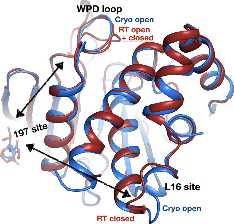 Figure 11.