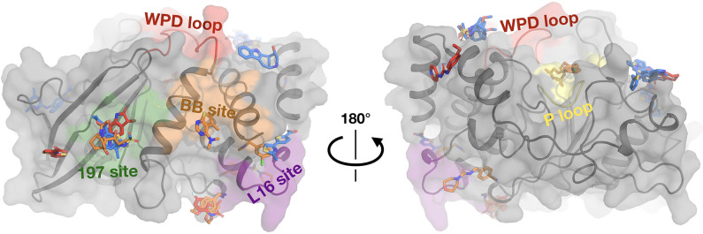 Figure 3.