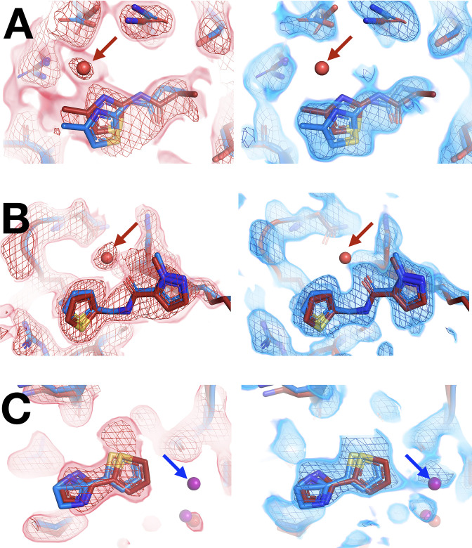 Figure 4—figure supplement 5.