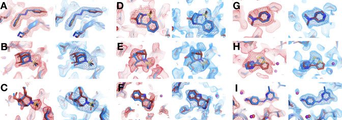 Figure 4—figure supplement 1.