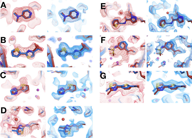 Figure 4—figure supplement 2.