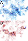 Figure 8—figure supplement 1.