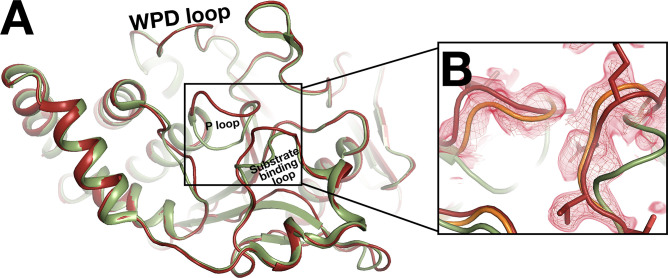 Figure 9—figure supplement 1.