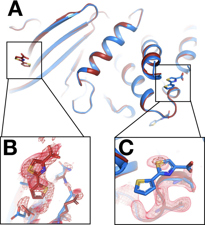 Figure 8—figure supplement 2.