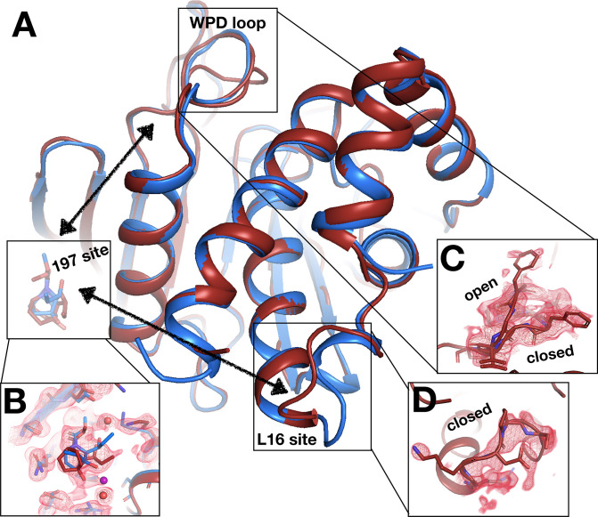 Figure 11—figure supplement 1.