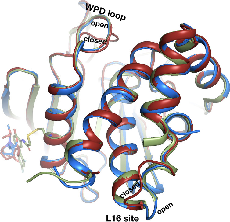 Figure 11—figure supplement 2.