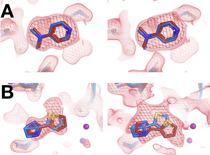 Figure 4—figure supplement 4.